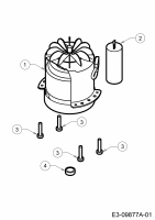 Ersatzteile WOLF-Garten Elektro Rasenmäher ohne Antrieb Expert 37 E Typ: 18CWG1H-C50  (2017) Elektromotor 